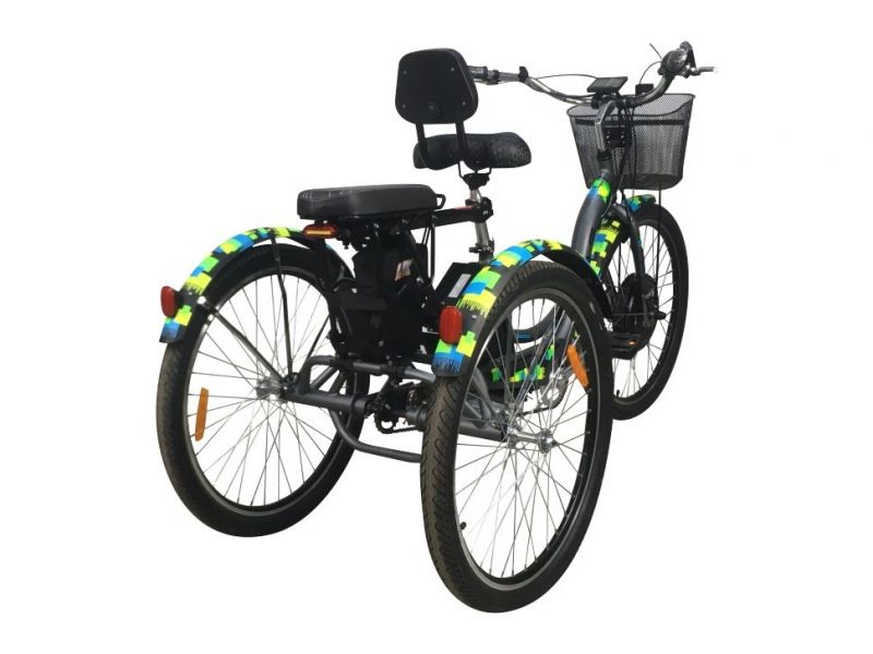 Электровелосипед трехколесный Horza Stels Trike Passenger 1000W 48V/15Ah Электровелосипед трехколесный Horza Stels Trike Passenger 1000W 48V/15Ah